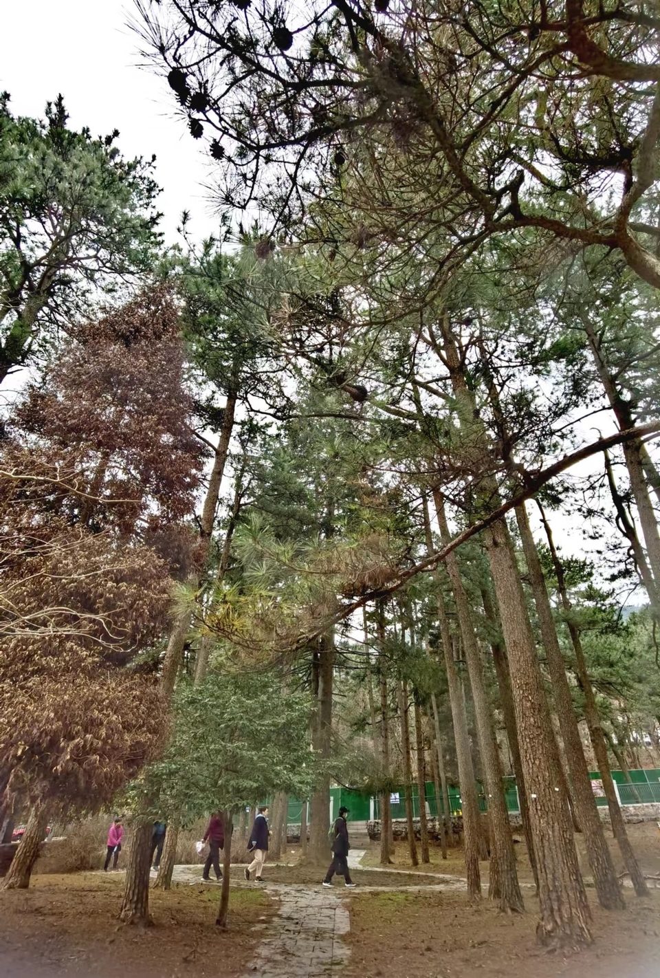 4qaj0HF3xWXom-sdkO51bbncoC4g6OhRAQGaeizhTfOKh_RKTLmSlqIzka7X4dSU