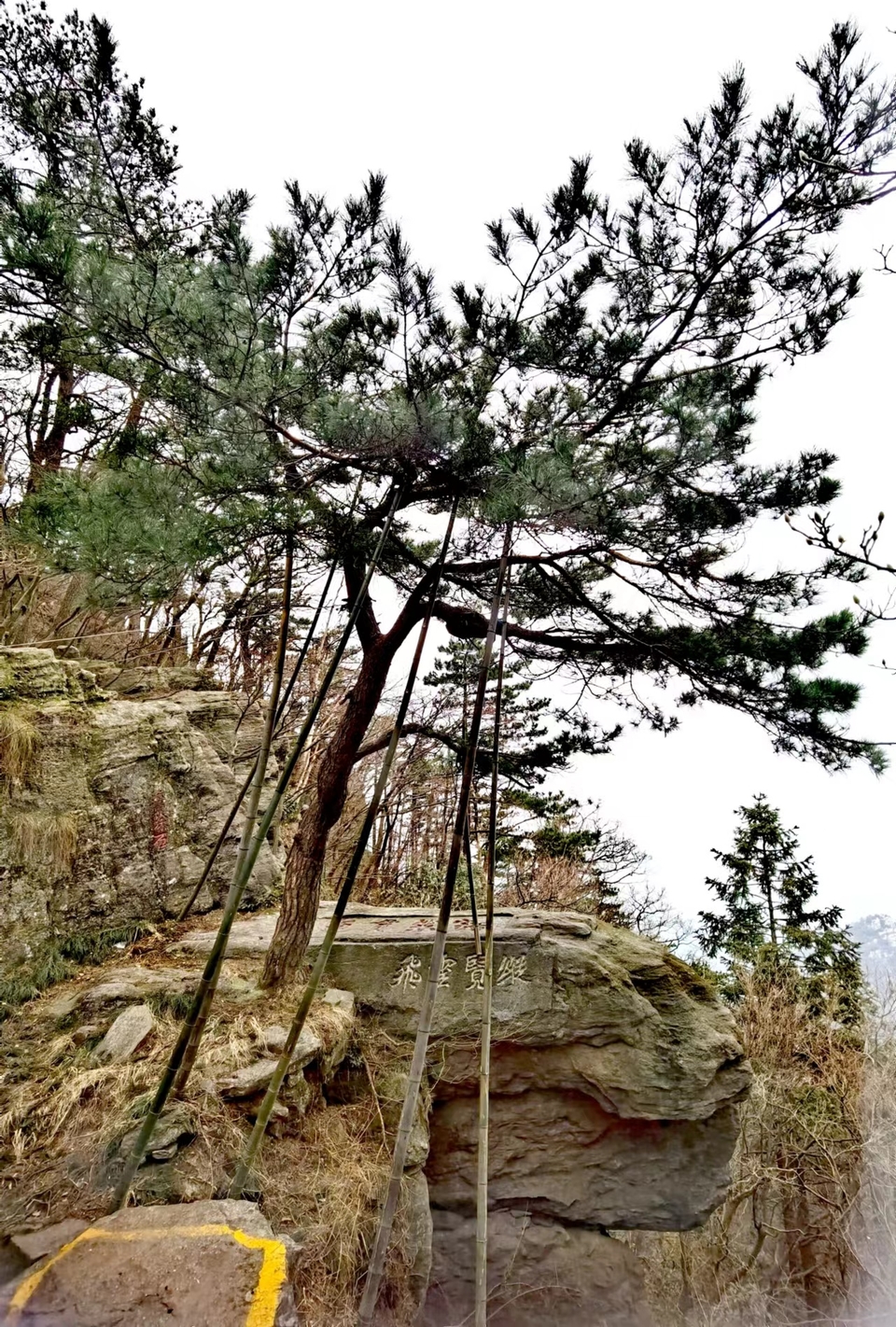 4qaj0HF3xWXom-sdkO51bSaDS-YJvxc_GJacxgPyTOGI6maSLAqcvIhkfHCuZv2c