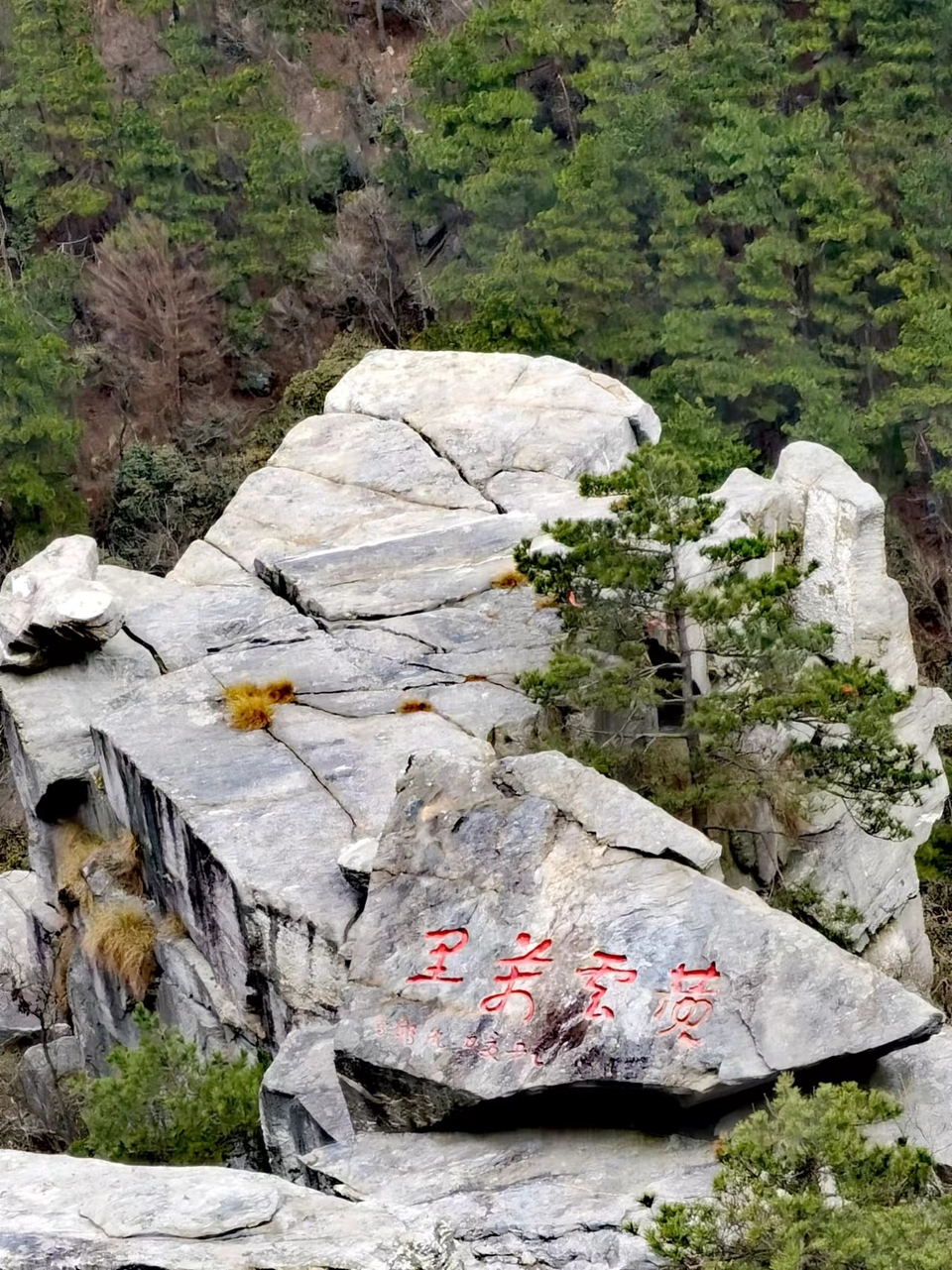 4qaj0HF3xWXom-sdkO51bcMb46yiVrRFSCm8vUhyvwpB57XpD_9wCS3l_ZC5mP2o