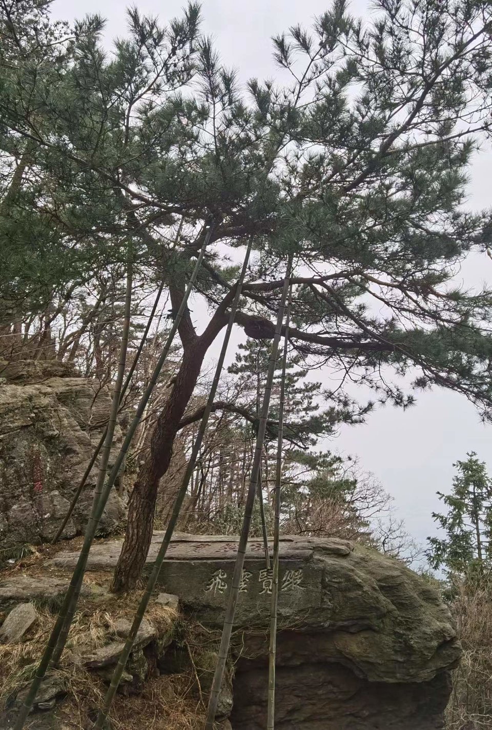 4qaj0HF3xWXom-sdkO51bQ9oT1DNwRDJGvyjnK5rlgc0Lwpm5l83AxAtY4Lw_Ljq