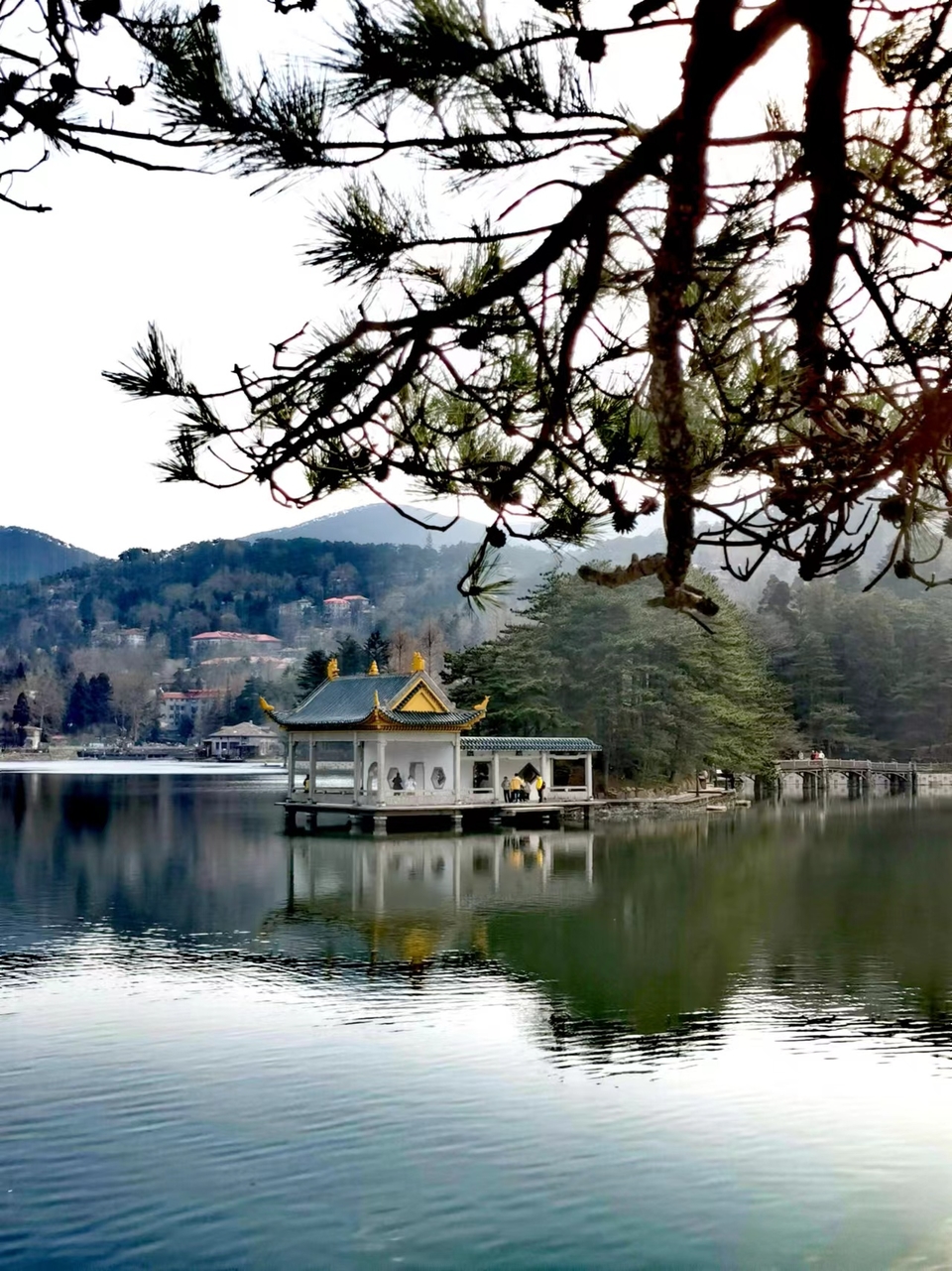 A4rKA08R7wY3m-oV1BuG7gy0BX0b4bI1ZzdsOGcSClazKmdfDoviabAzDmPcSuKw