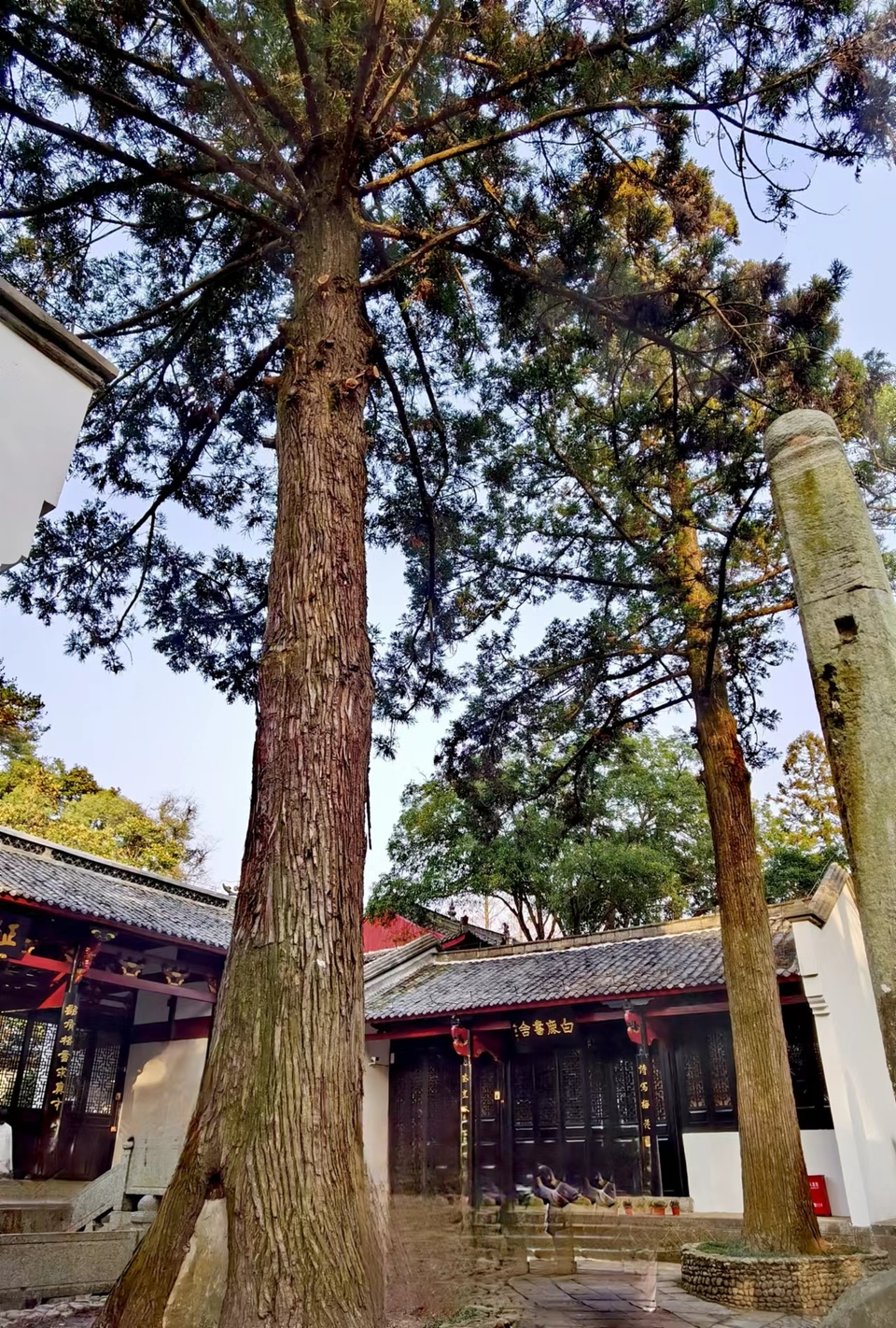 A4rKA08R7wY3m-oV1BuG7kqaeeEx24aKCtUoc8olevH-Wb4ObP4J4xvqYfSN3nYu