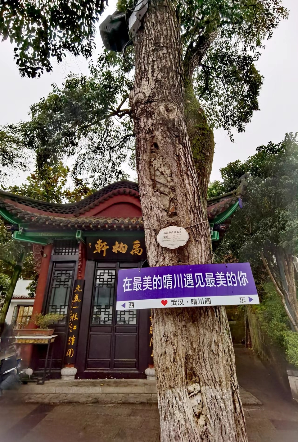 lOlDZ9FulDneGeBEL6NE-scoYT2ONsC_oP6aW2MAIWP6lQKVmkuNGpVkpJHBIhan