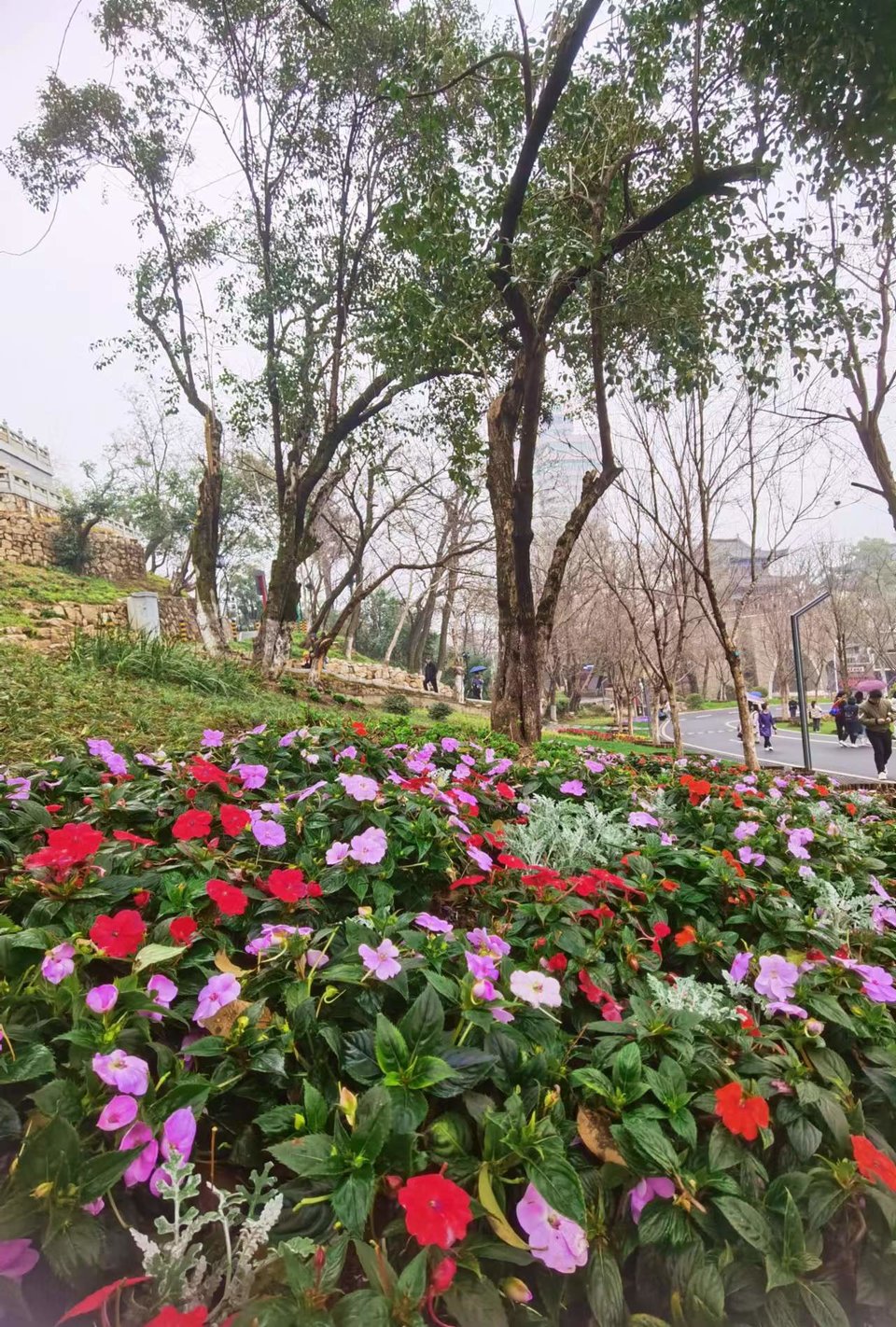 lOlDZ9FulDneGeBEL6NE-mLsryx56iTJm6dmpQTyYU9cMmz4oAYadi_a3TZykGy4