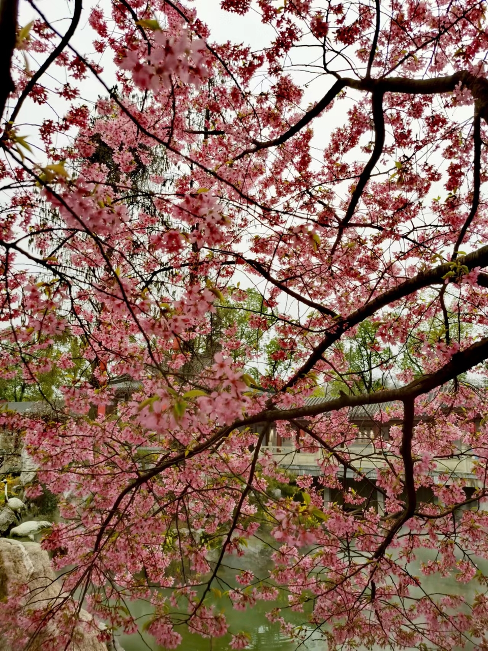 lOlDZ9FulDneGeBEL6NE-hCekSYQVbGI5Qw0pF78zHMo65uLe4oCglxMCV7hO8YO