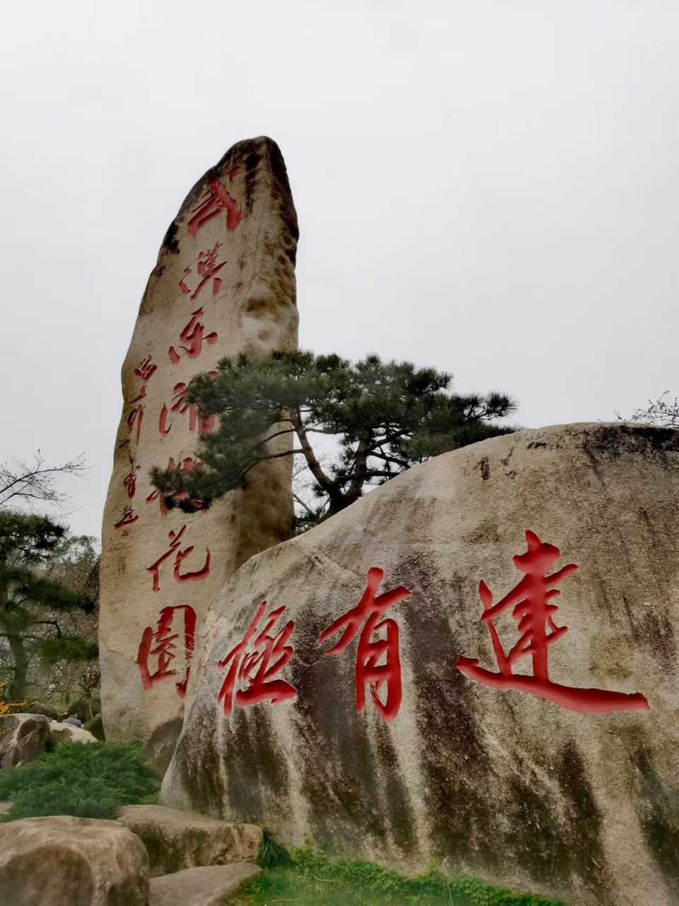 lOlDZ9FulDneGeBEL6NE-pVYAyT3anWbsyiNFctjD2OO5Ko0HdRksjKiLi2Pm2L8