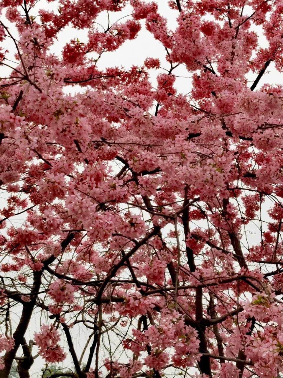 lOlDZ9FulDneGeBEL6NE-vi3yXgxmgP0Ks68H0a3mXz1U3q_E8EgNHI1DGrjmDir