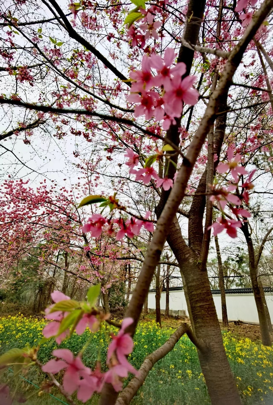 lOlDZ9FulDneGeBEL6NE-h5BNFGJKEuh4AdBNWr7-oAM_8Uj098JVL4Bm8uX-0eX