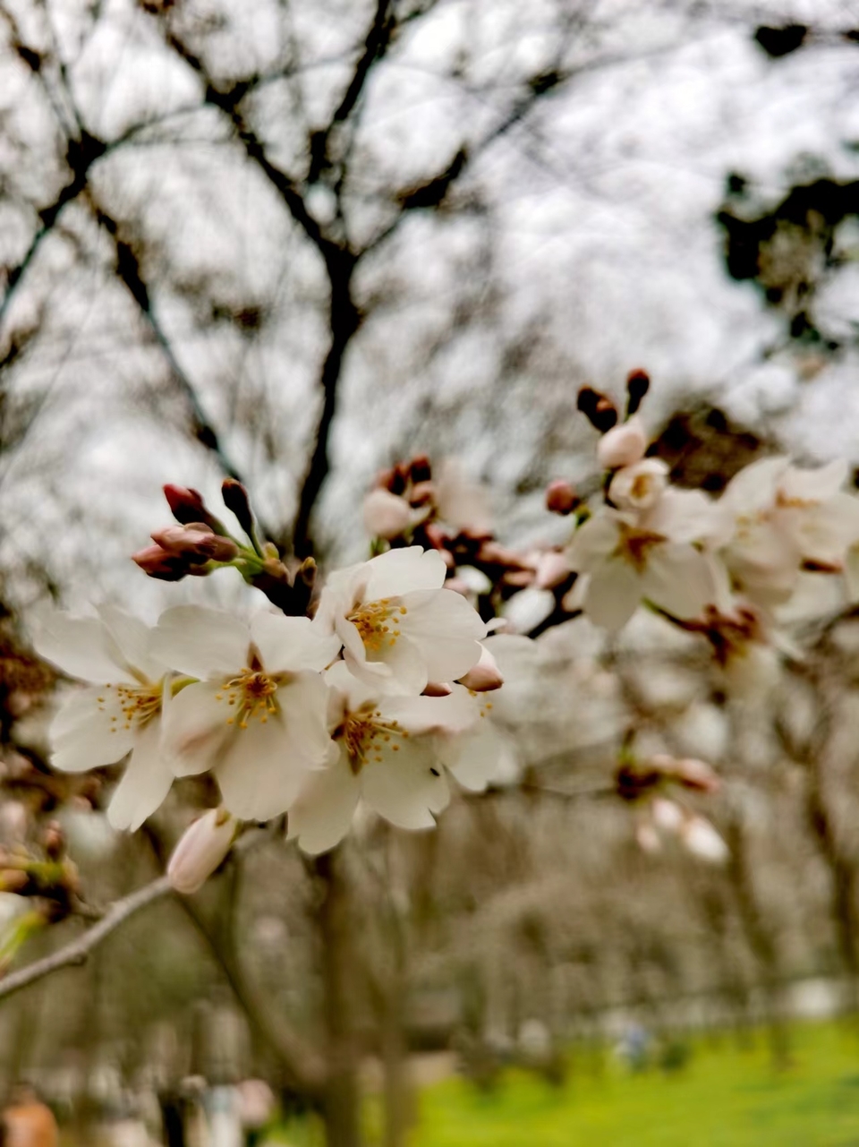 lOlDZ9FulDneGeBEL6NE-mjttIBPh_GMbyYPXZyNgEBehJCKeFF-1aY0ViRdmRNx