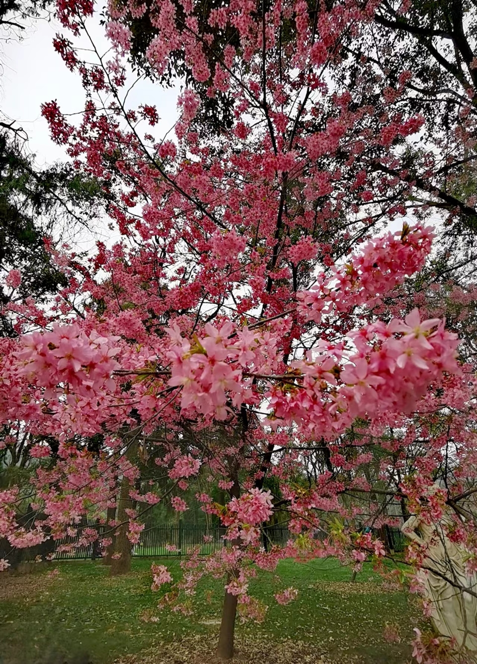 lOlDZ9FulDneGeBEL6NE-opbQ_fbD7oqCYnKt58eibR4Xwj6HtzgmRy1W4sx-iKJ