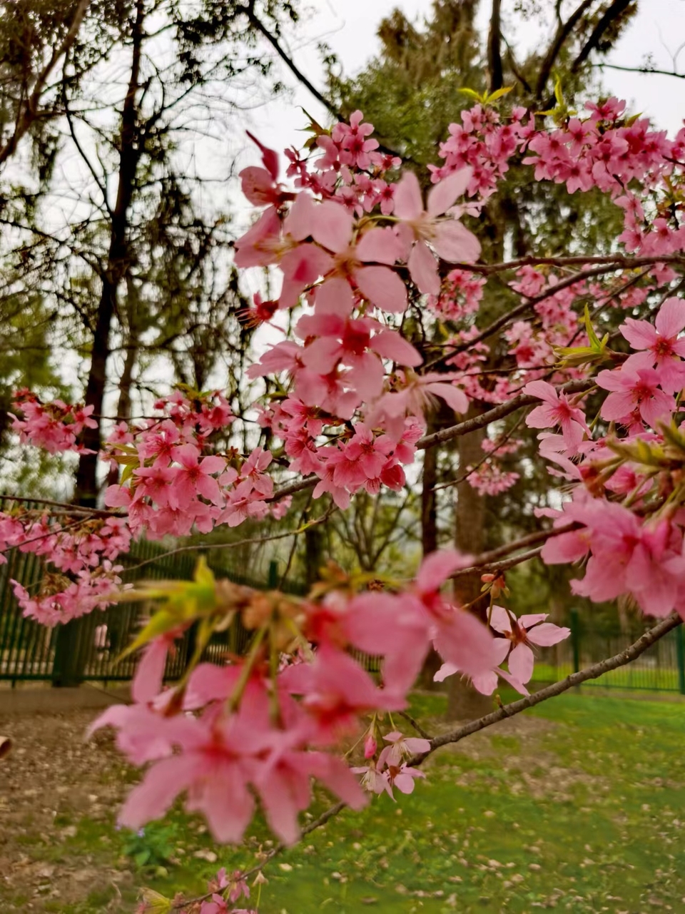 lOlDZ9FulDneGeBEL6NE-tzGVffyfRCxiwEde-DEhQ6745CkVC0nSSRr1D_fSKJl