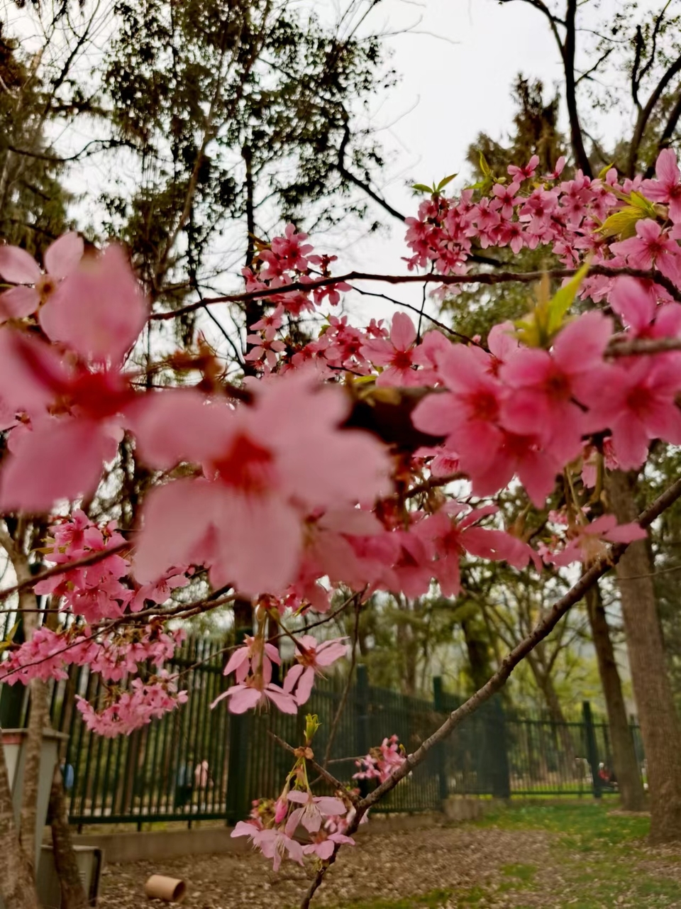 lOlDZ9FulDneGeBEL6NE-uam47J7_94zloPYqD0T_tM657f5mWi1wk95gl1x82hR