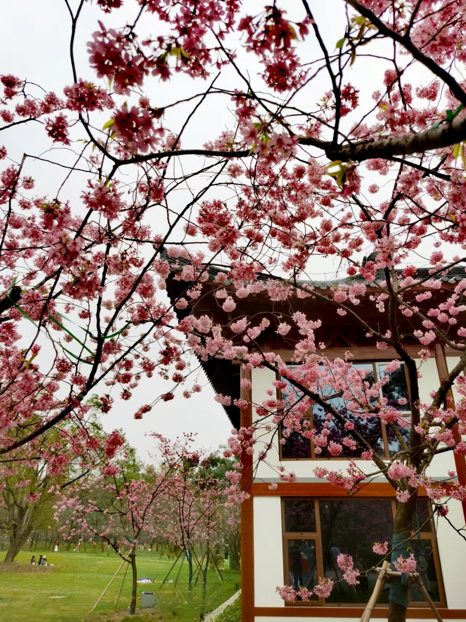 lOlDZ9FulDneGeBEL6NE-vCeWszv2xWyEfR9qEt5lCd1-NpLRwGPzTXEg9azr2ry