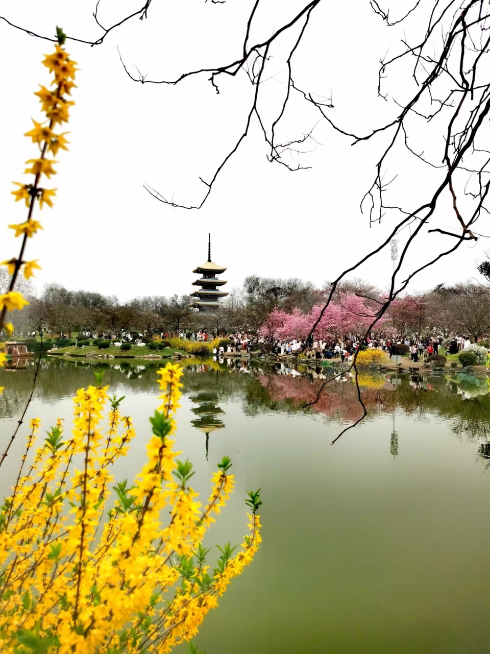 lOlDZ9FulDneGeBEL6NE-uh6rntvnoXuIT_qe0VJfhZ9fYhVnLNKyKi7fTeabf7e