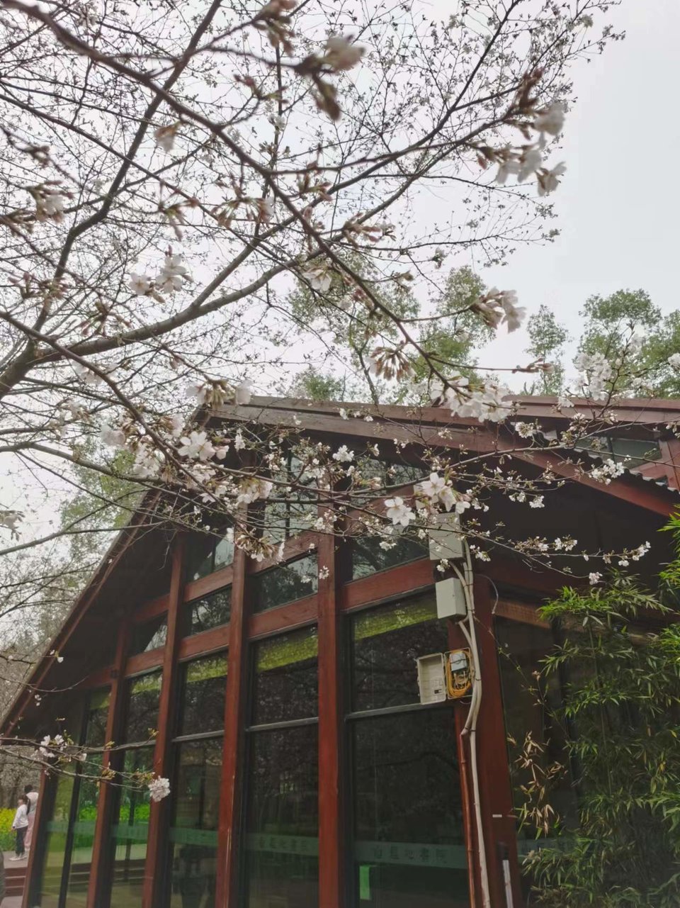 lOlDZ9FulDneGeBEL6NE-ryXMmwpZ5FkvREnMzQAMA6LMvPFeQD_5tq4iQM0zGCl