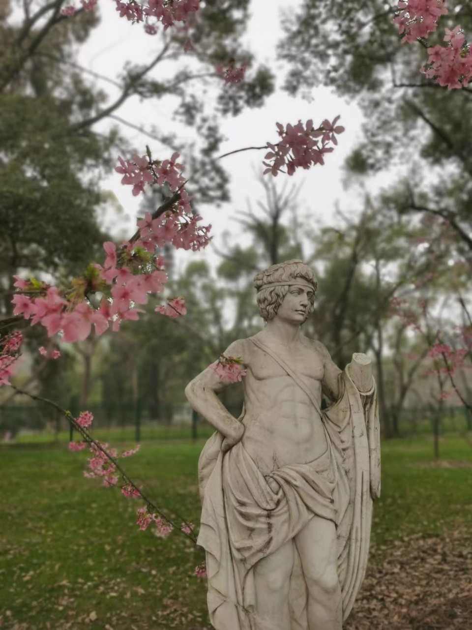 lOlDZ9FulDneGeBEL6NE-rIcKpGc6T6tw_Ncq98BcJdmVd_OOOaHpfNstRYPSbcq