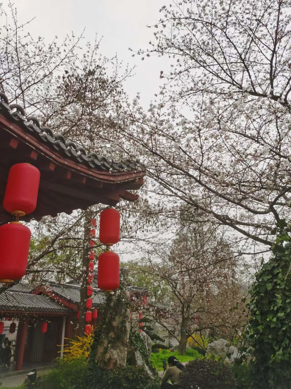 lOlDZ9FulDneGeBEL6NE-hjdWbmwfeOHCh0P2MhiornG6KBN5L-2JpeVIV4nb6OU