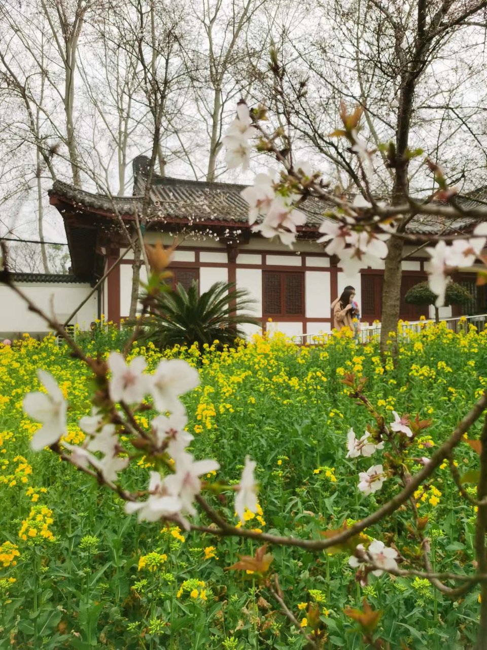 lOlDZ9FulDneGeBEL6NE-juvqKA5E-OdnCEkmfqyDlI3KUilqqyCD0cy57KTQm3h