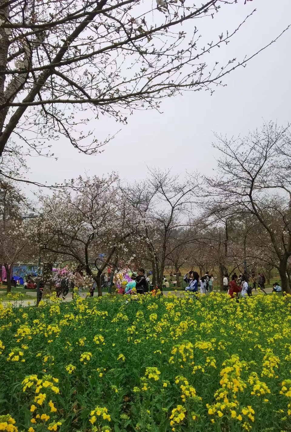 lOlDZ9FulDneGeBEL6NE-jj_ed_xUE1e-yPPXRYWTX3CmQjzTBHX10FxzQk0iOJq