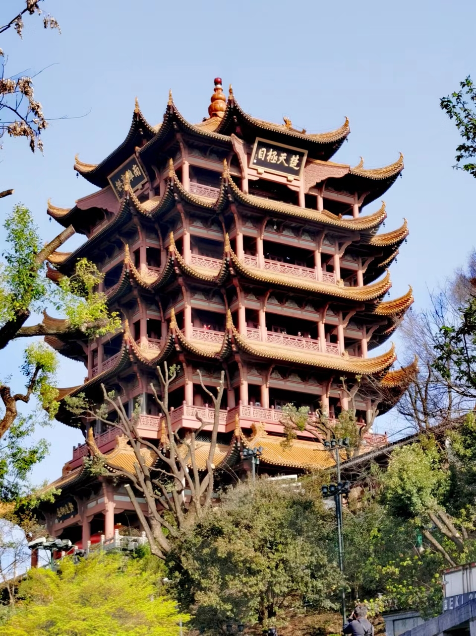 x3CvYLKjG9lvRMDZ773NOGikZKggSodO3dgCRUdKFvDzcIM0zXHxjEV5zOt8Xbsh