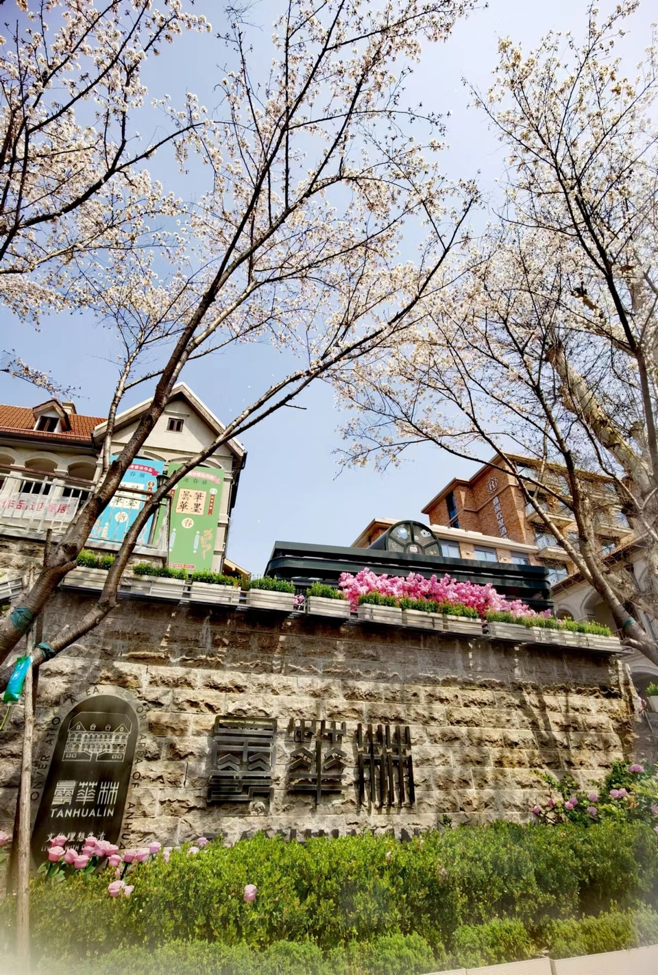 x3CvYLKjG9lvRMDZ773NODqWD10dliW-UpRq2cGNN6Esi4vZ5OtRXLT9oSHGc-o-