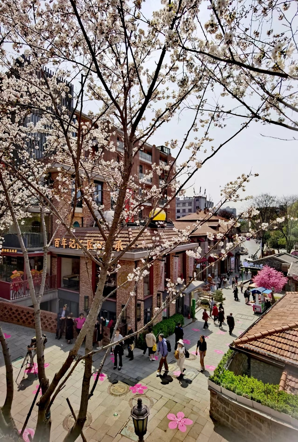 x3CvYLKjG9lvRMDZ773NOIEoG4AnfTKDbUi3K5-IhyrwBao2SiOmgJHdUGWXm5hw