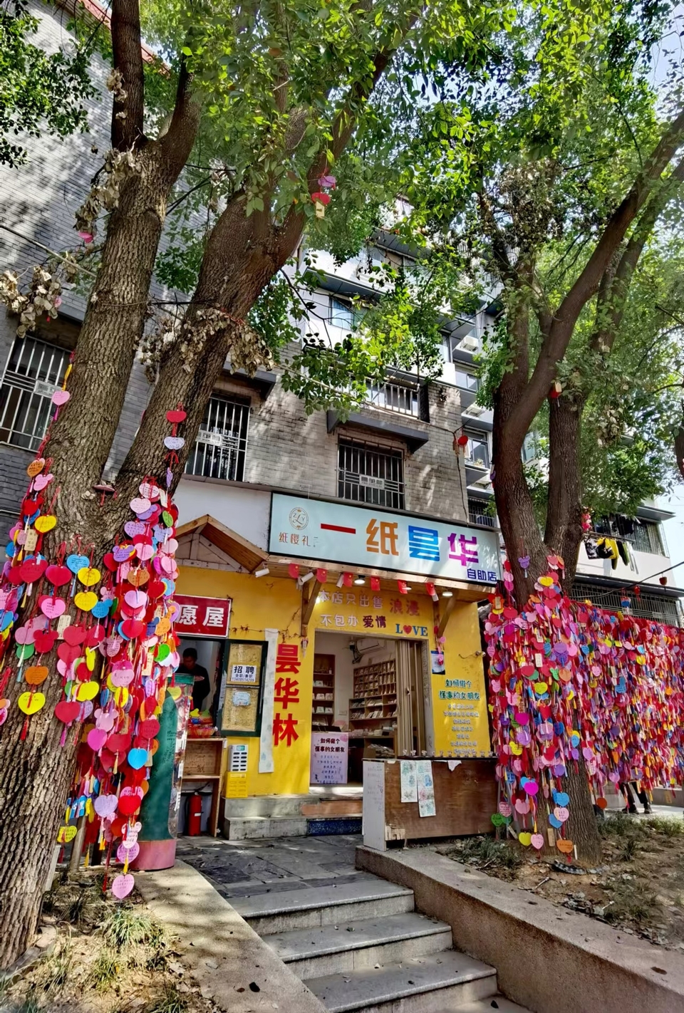 x3CvYLKjG9lvRMDZ773NONM3OaUDBoB32F2goSsBLw8DEcwih-VRwfP-XNQJU1T4