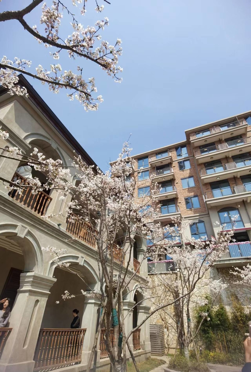 x3CvYLKjG9lvRMDZ773NOJannfq_F-o5_NncstA_wCHJfwDkIFodDfngocARuWd3