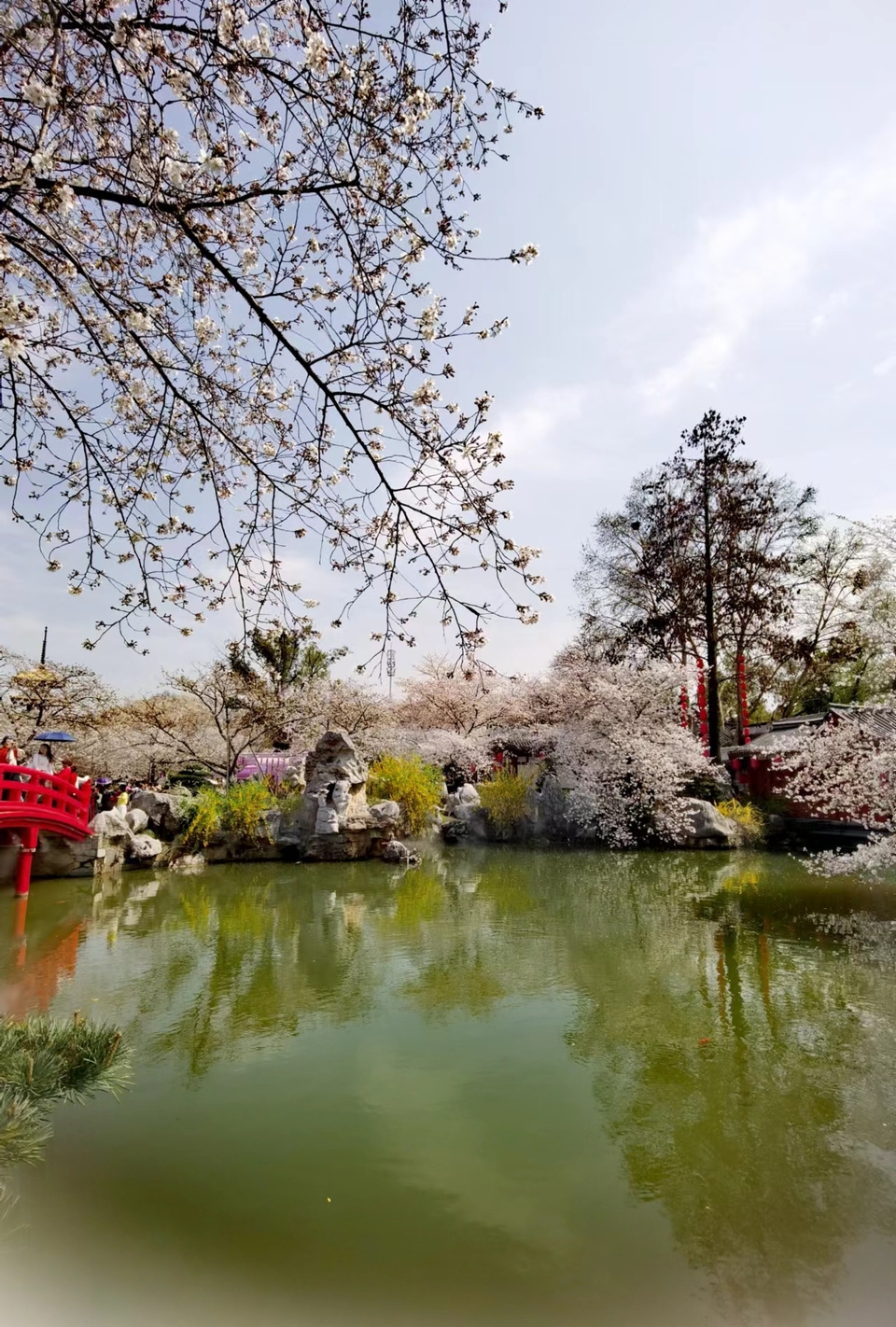 x3CvYLKjG9lvRMDZ773NOPTPkTwf4XypBi1tB4_pmaVL3NYxRKc0bec0FZV5EOJq