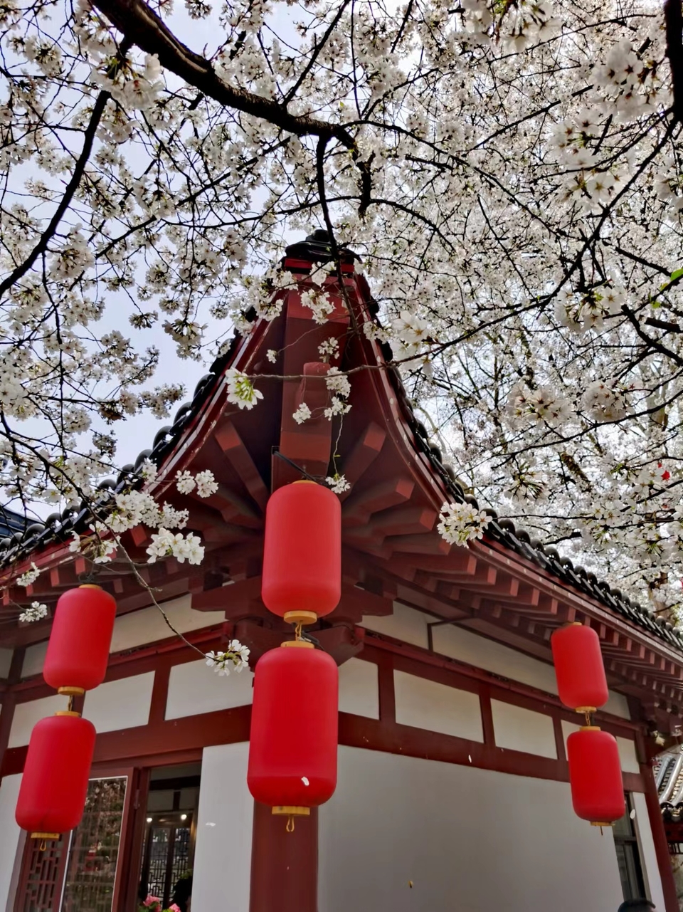 x3CvYLKjG9lvRMDZ773NOGhYWoZG6eji7QS3rx7KQsTgoxi_QTSrIWW1C__FM7DD