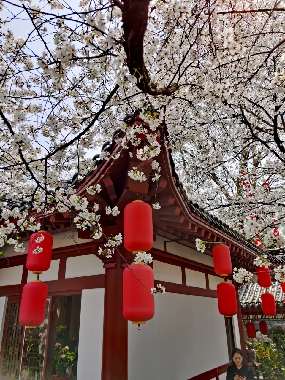 x3CvYLKjG9lvRMDZ773NOAE4-D1OIKfPa-nfEGeajVpbvASkfEMlBQcyvIOlpFfr