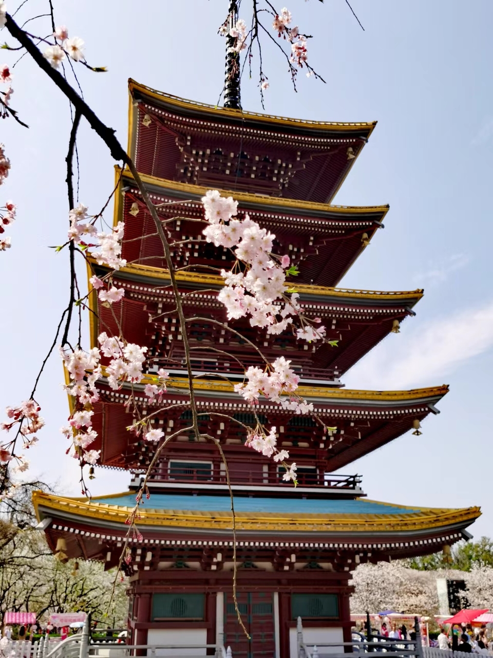 x3CvYLKjG9lvRMDZ773NOE5bx5Nktkq4KUCN5XAd5JWKA28Li-Aqi9l-CfFTt5Gc