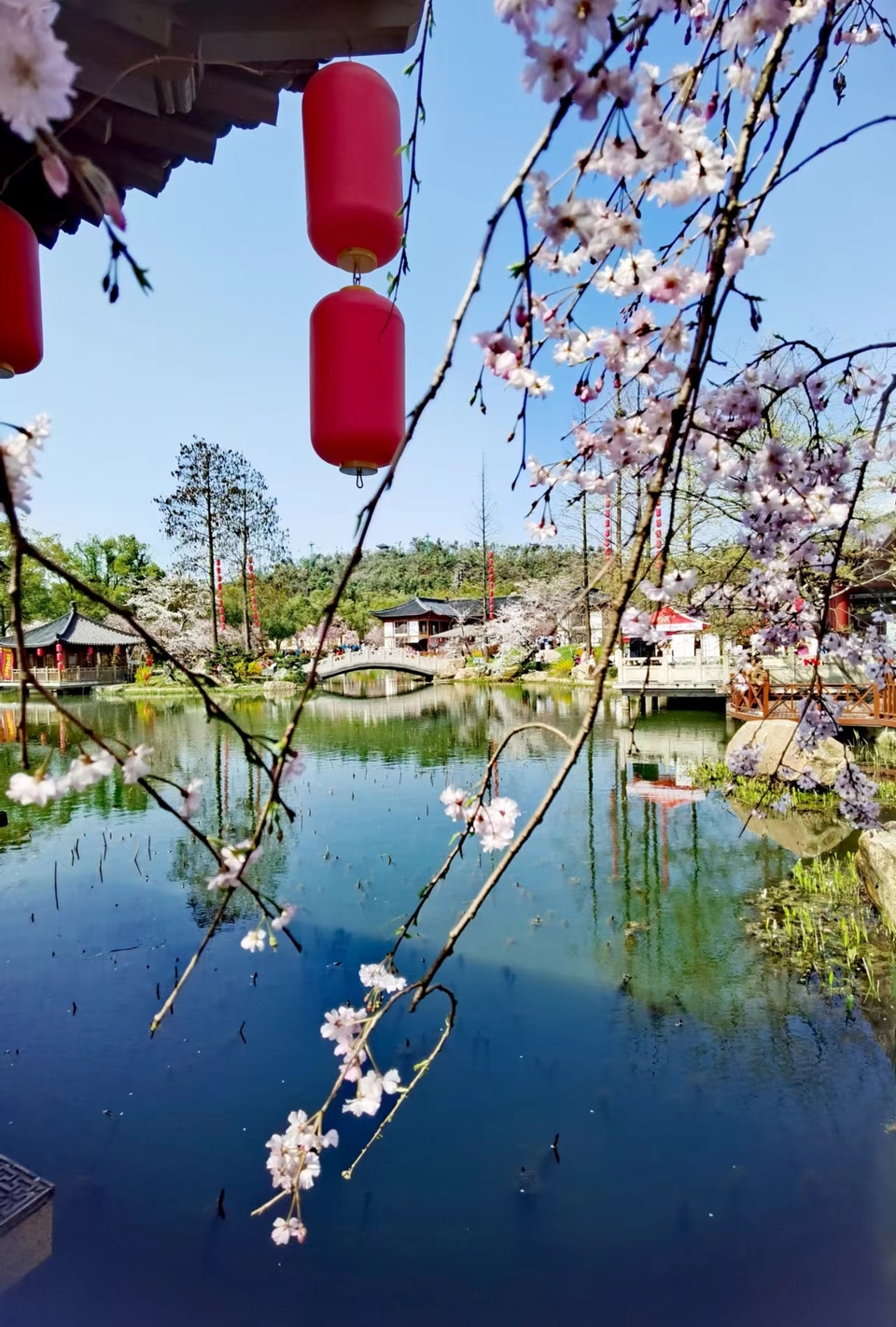 x3CvYLKjG9lvRMDZ773NOMWOI8pmRUj1JOa1Sm9_t39L7tGfBpJQKkOh4ATBOxzm