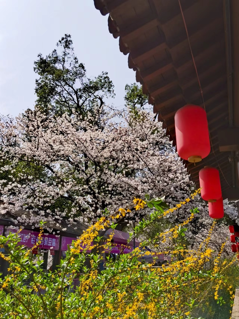 x3CvYLKjG9lvRMDZ773NOHWjq5TaGTY0aVi32ZS0q8nnBp22UAOC74spY_uf1WrX