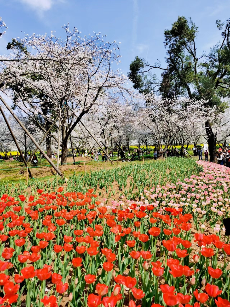 x3CvYLKjG9lvRMDZ773NONHD98XIqG5WUTzS522QX_Y5TqSlY6hGWRJeLCCf-KOa