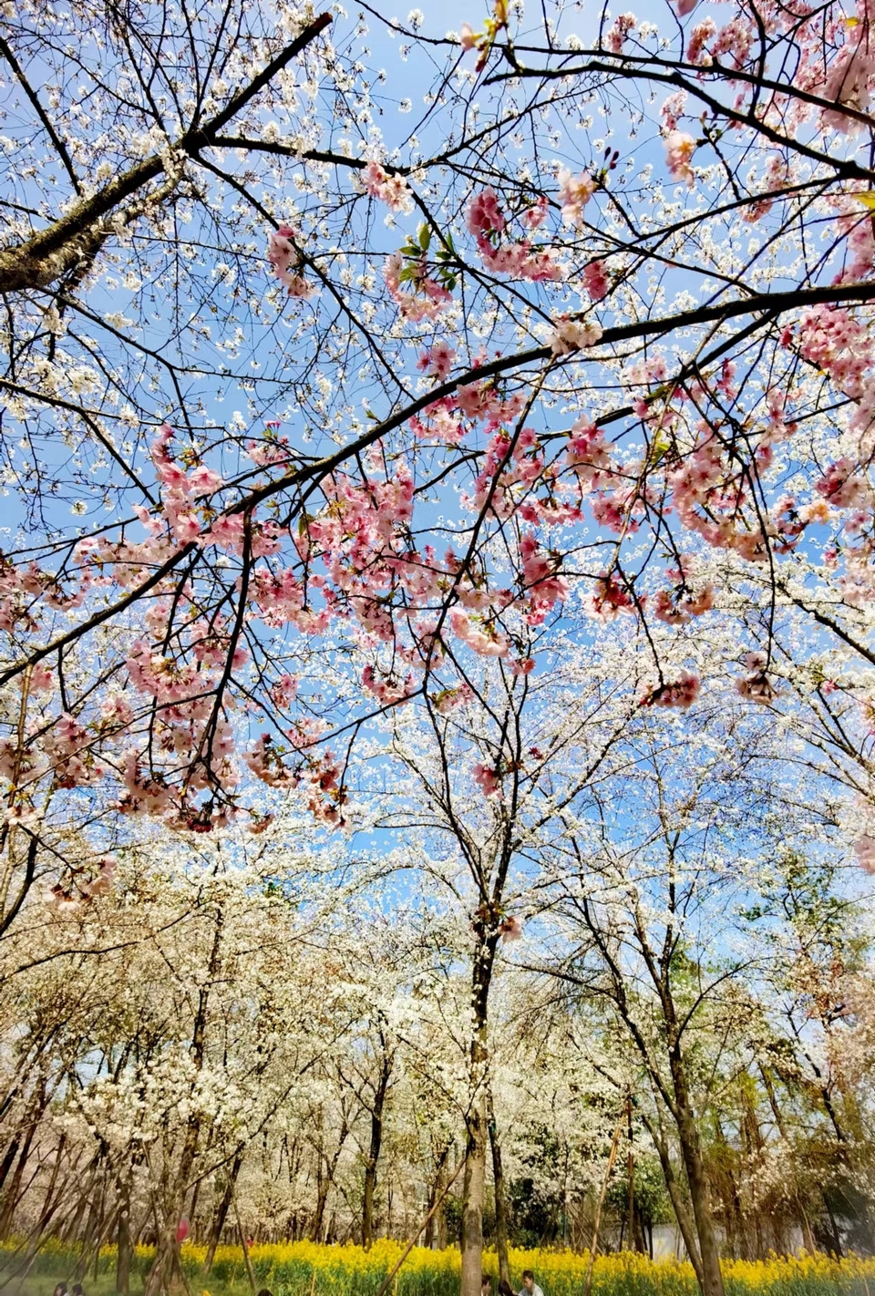 x3CvYLKjG9lvRMDZ773NONo_95Bs1Q0KqEjoWcvWkme4mit9DxIUHcvpg-72I9dG