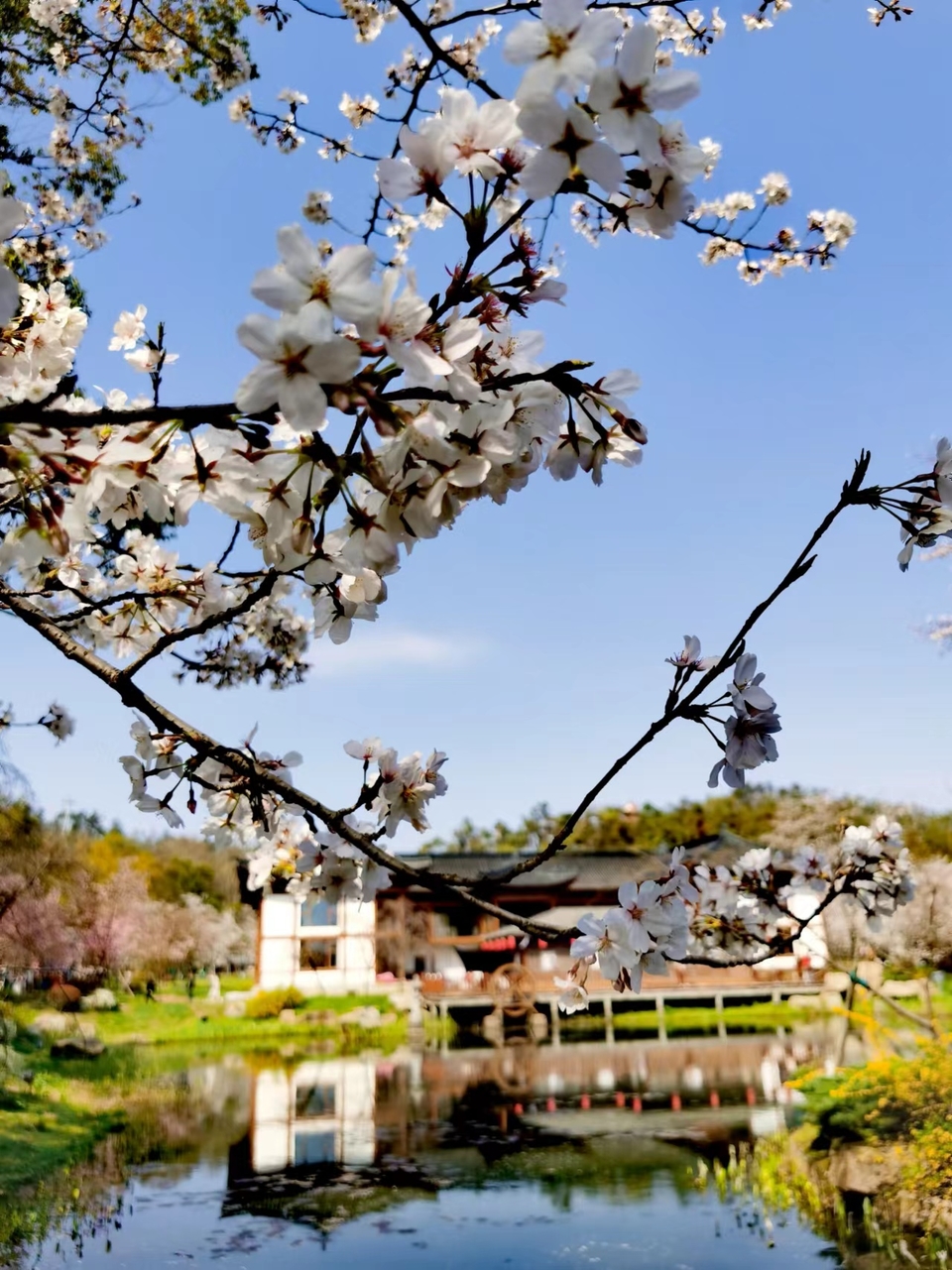 x3CvYLKjG9lvRMDZ773NOB9or9qs9XJ-jqqHr_TlCSCiEqCOEjRRNyMp-zESyzMW