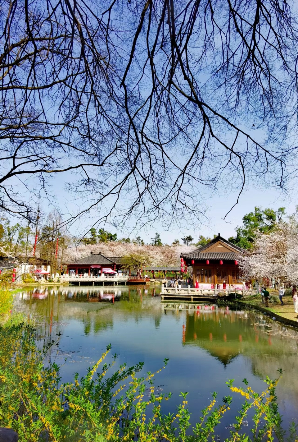 x3CvYLKjG9lvRMDZ773NOB-YqYKPLwd5rxkGk0X4305Y9QIYffSa_kr5akGxeIeW