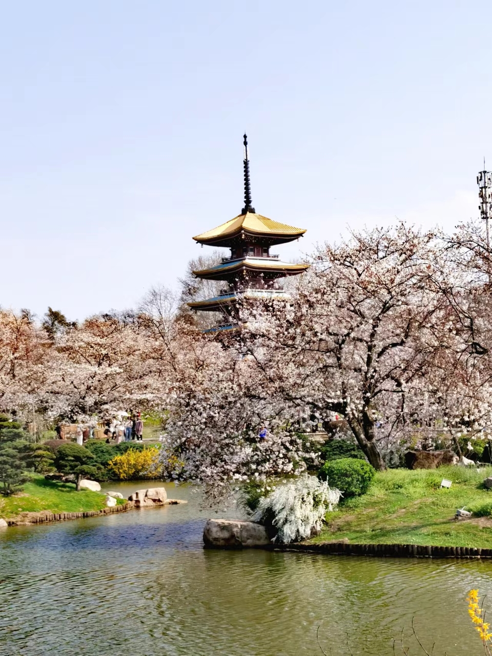 x3CvYLKjG9lvRMDZ773NOE8fWvSN1ttcyL1_VQff5elyjowTfbU_hfFCXPxvJikK