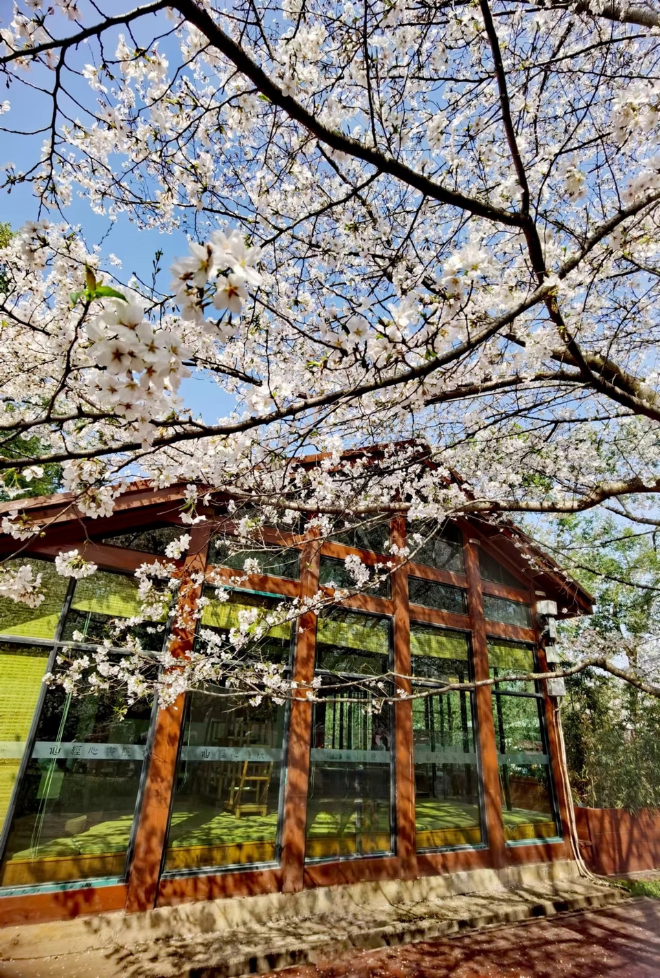 x3CvYLKjG9lvRMDZ773NOLhcuPGBFhM4iowy6UWgOSDRZyGR72092w064bgr55Gl