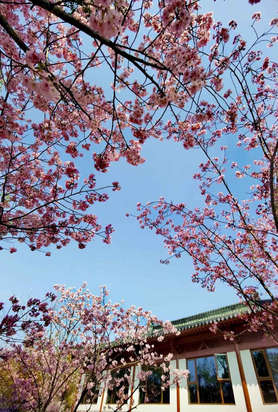 x3CvYLKjG9lvRMDZ773NOCPOab4VjgyKuPg8TLwHFrxxAXg5qLM8CSy6jZfqacnH