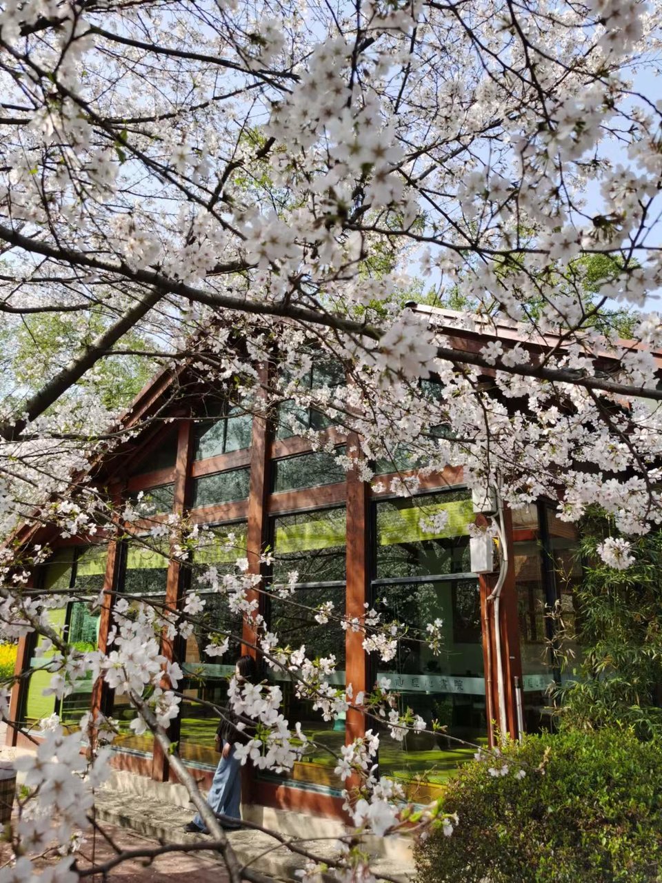 x3CvYLKjG9lvRMDZ773NOD4sgq27nGgeZ8NpieQbGP7H0X94ZAUhVEgeh5o7mAYn