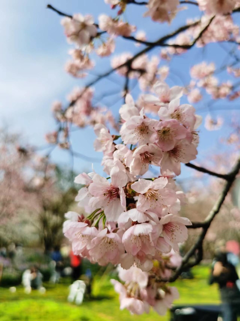 x3CvYLKjG9lvRMDZ773NOG8c52jLazIhk9eHyOXC5XeQYlh9GLVAI7H3AwwofdEV