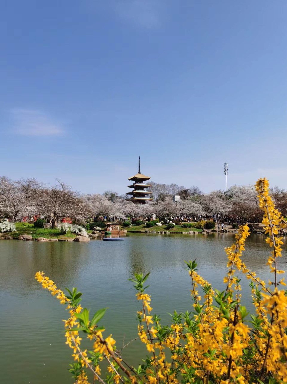 x3CvYLKjG9lvRMDZ773NOPha9B7hoiVKHCDz7MeYhZwbq2qVYjrrkMwoMfvKSHRH