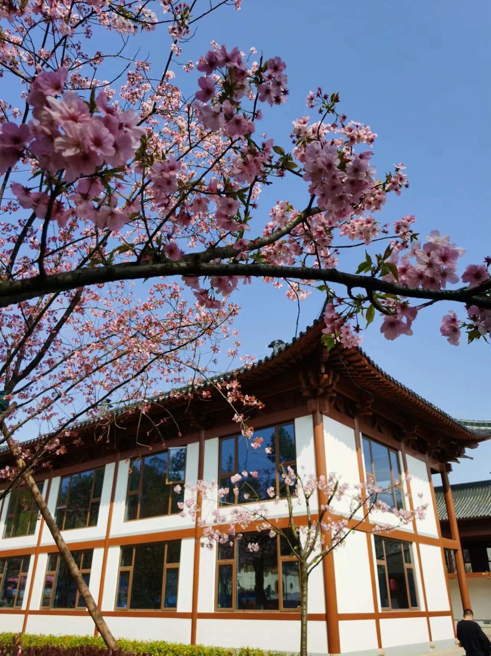 x3CvYLKjG9lvRMDZ773NOHBzjPXAMnvLTR8wSL0p1rJrtH0MhGah4vkOhcsq6xRS