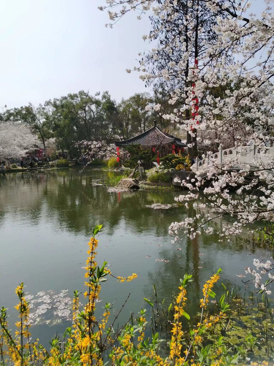 x3CvYLKjG9lvRMDZ773NONcJiYy_85Fn_B32PoV-FhecjZQmrvhsIM81XaoDSpFy