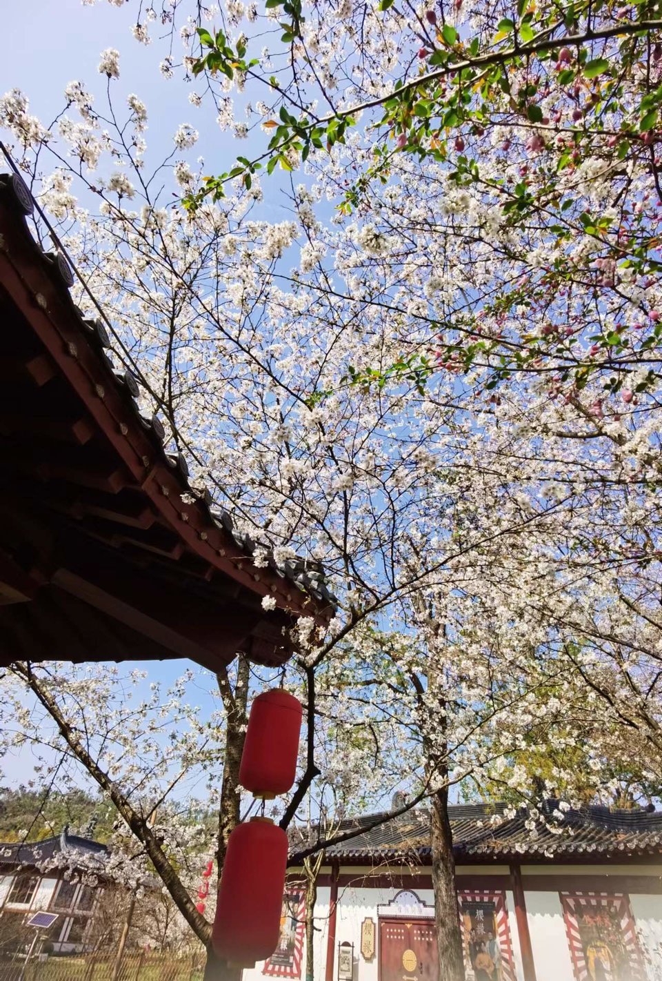 x3CvYLKjG9lvRMDZ773NOAZjHmJw4rrRj1AD2RUevwTq8IoQfMbuCIbdk0ALF2Nj