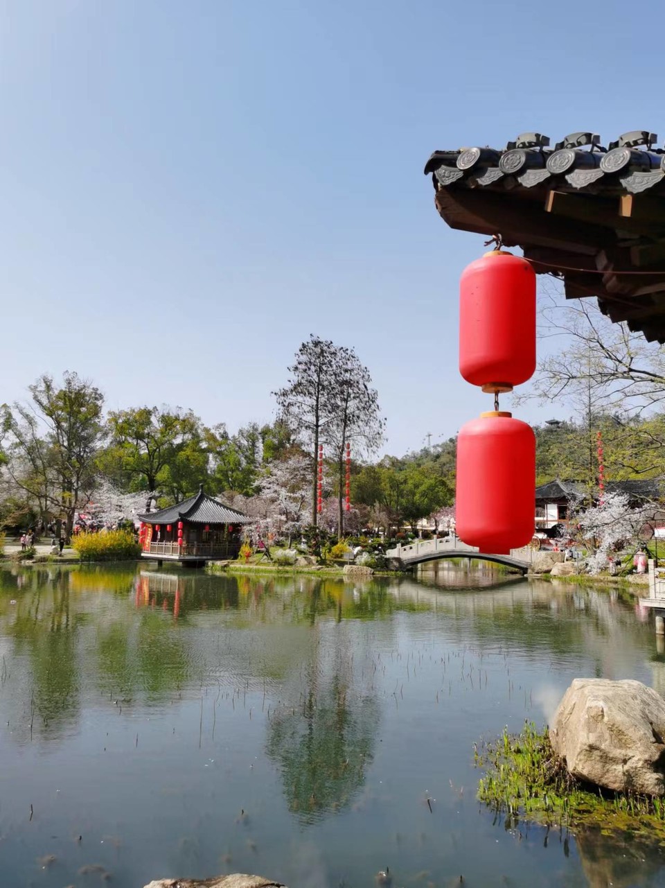 x3CvYLKjG9lvRMDZ773NOLMVrcmvdwS9Zu9v9yv8OBruRttN6uklgxQfbj0hjTAb