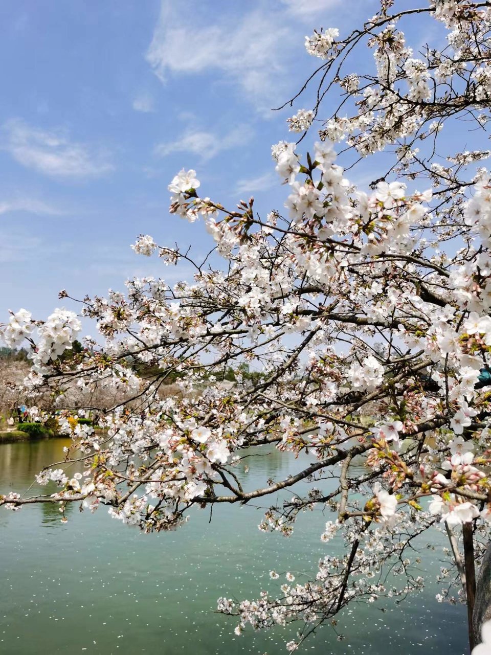 x3CvYLKjG9lvRMDZ773NOCg8-qVF7nSCNF63nt_4iJsw1i_QwBLxKhavpp9YoDRz