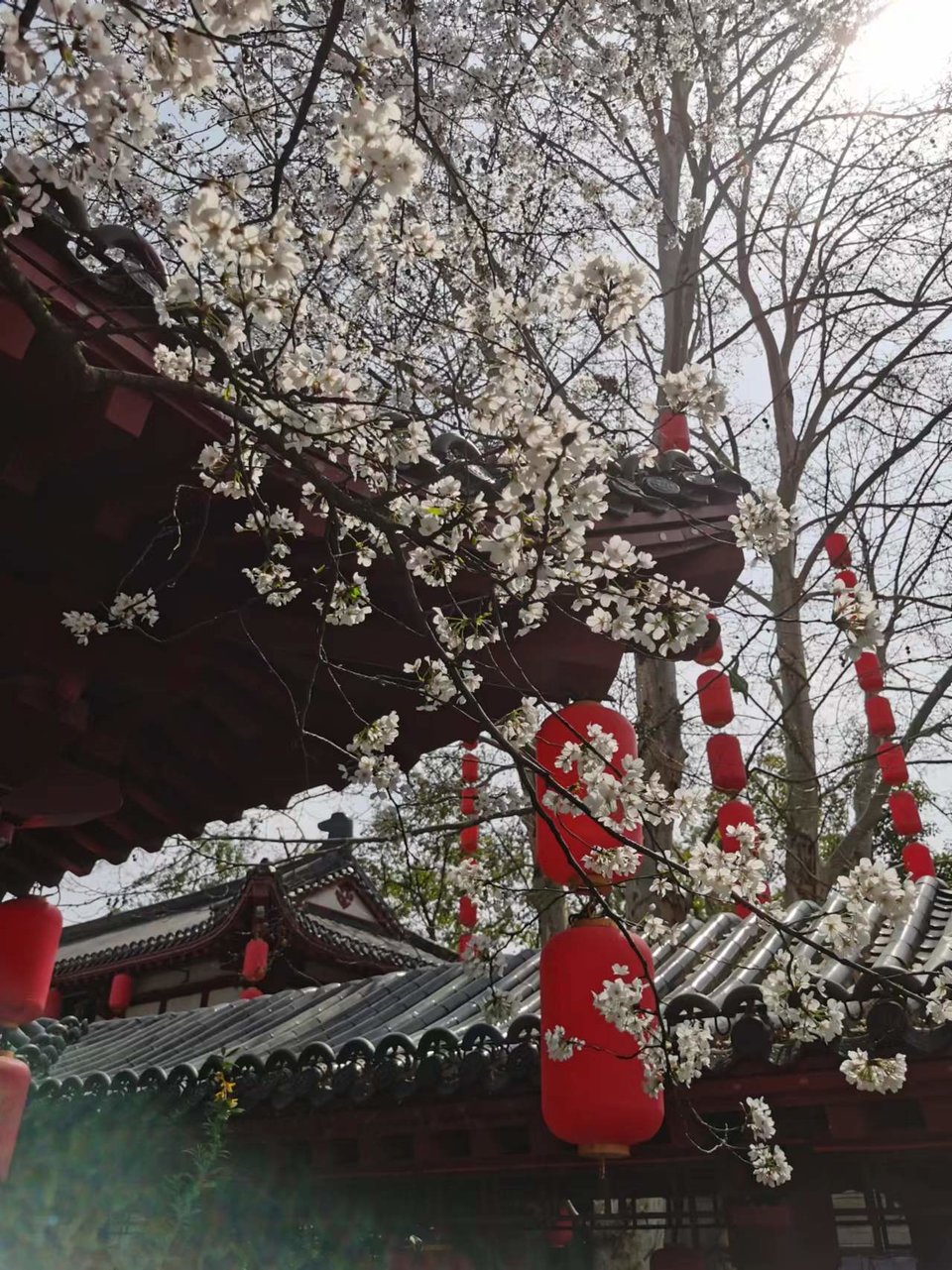 x3CvYLKjG9lvRMDZ773NOFvx78Ni_dPxoNXS_H5tr2irC8a9aN-KWgqT6ZadFUC6